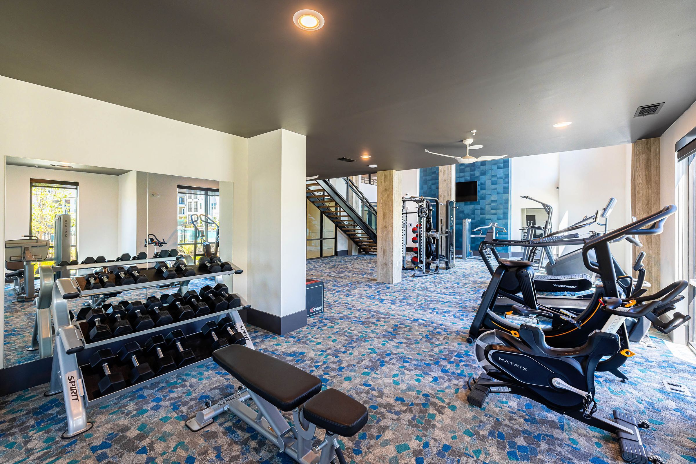 Botanic Luxury Apartments A modern gym with exercise bikes, weights, benches, and other fitness equipment, located in a spacious, well-lit room.