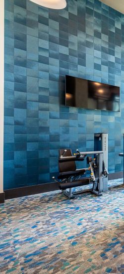 Botanic Luxury Apartments Modern gym with exercise equipment, punching bag, weights, and blue accent wall. Large windows provide natural light.