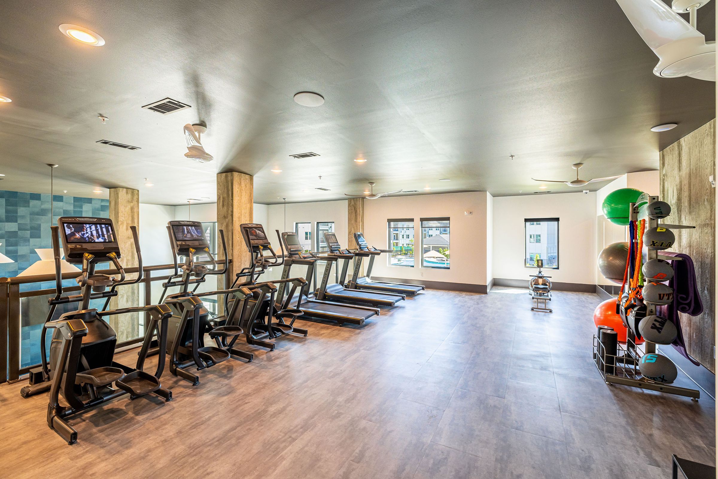 Botanic Luxury Apartments Modern gym with treadmills, elliptical machines, and a rack of medicine balls and exercise equipment by the window.