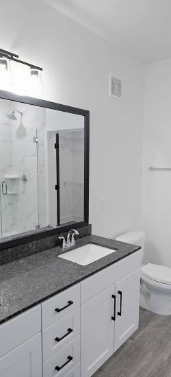 Botanic Luxury Apartments A modern bathroom with a large mirror, double sink vanity, toilet, walk-in shower, and a spacious walk-in closet.