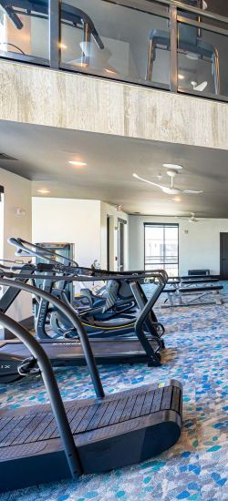 Botanic Luxury Apartments A modern gym with various exercise equipment, treadmills, weight machines, and an upper-level seating area.